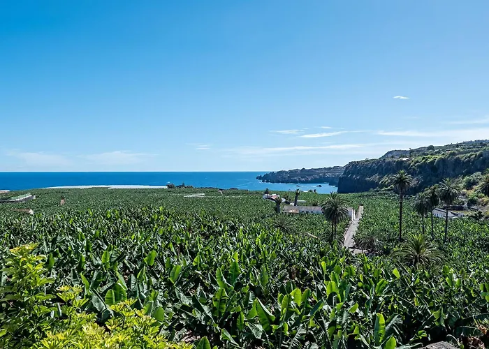 Terrazas Malpais - El Guincho, * Garachico (Tenerife)